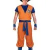 Goku Kostüm - Dragon Ball